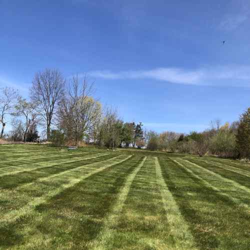 Landscaping Thomaston CT | Roberts Property Management